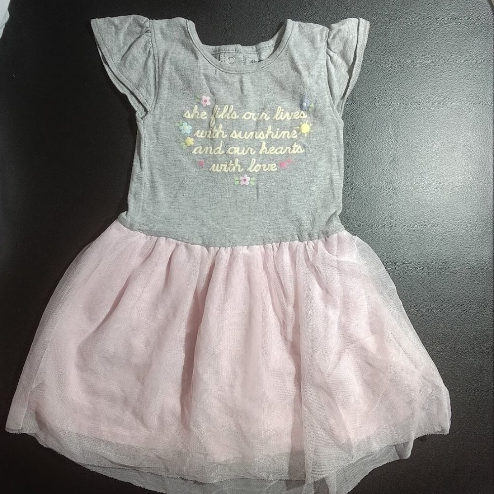 Gerber Dress 24M Pink and Gray
